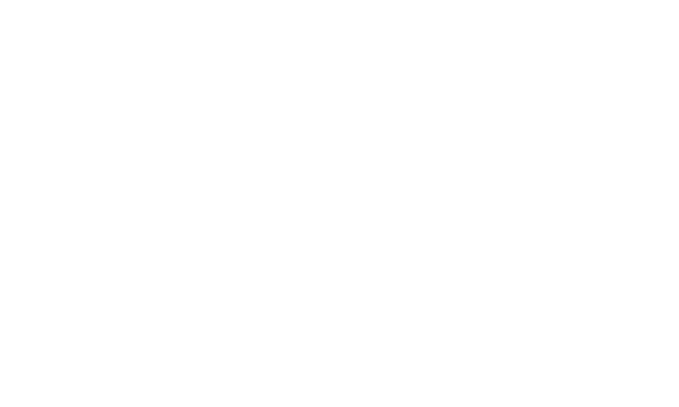 logoweb_amnistia